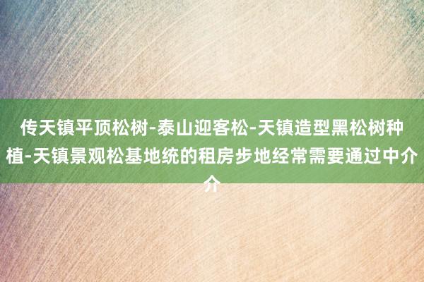 传天镇平顶松树-泰山迎客松-天镇造型黑松树种植-天镇景观松基地统的租房步地经常需要通过中介