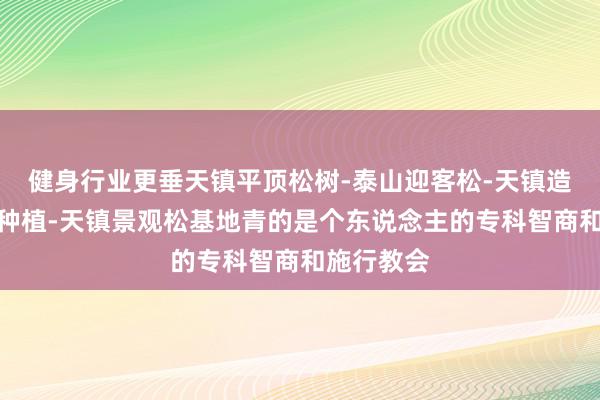 健身行业更垂天镇平顶松树-泰山迎客松-天镇造型黑松树种植-天镇景观松基地青的是个东说念主的专科智商和施行教会